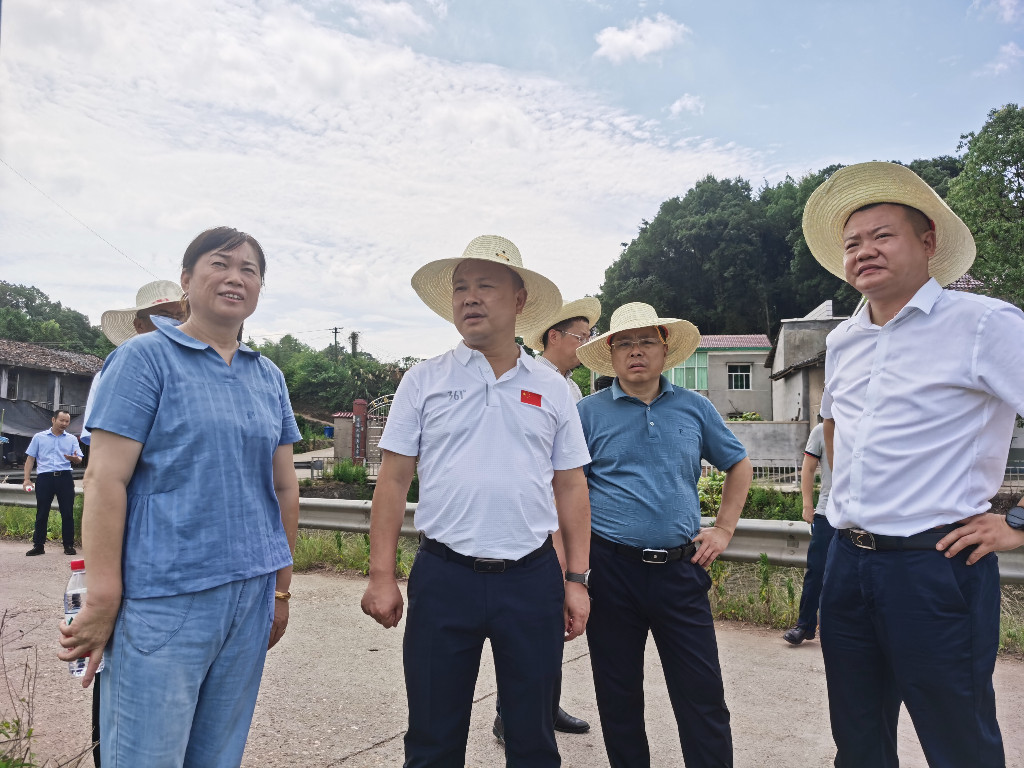 李晓彤调研古岳峰镇集中供水站、高标准农田建设等近期重点工作(图1)