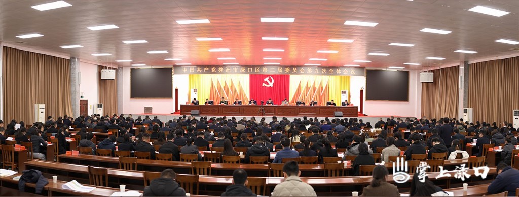 中国共产党株洲市渌口区第二届委员会第九次全体会议举行(图1)