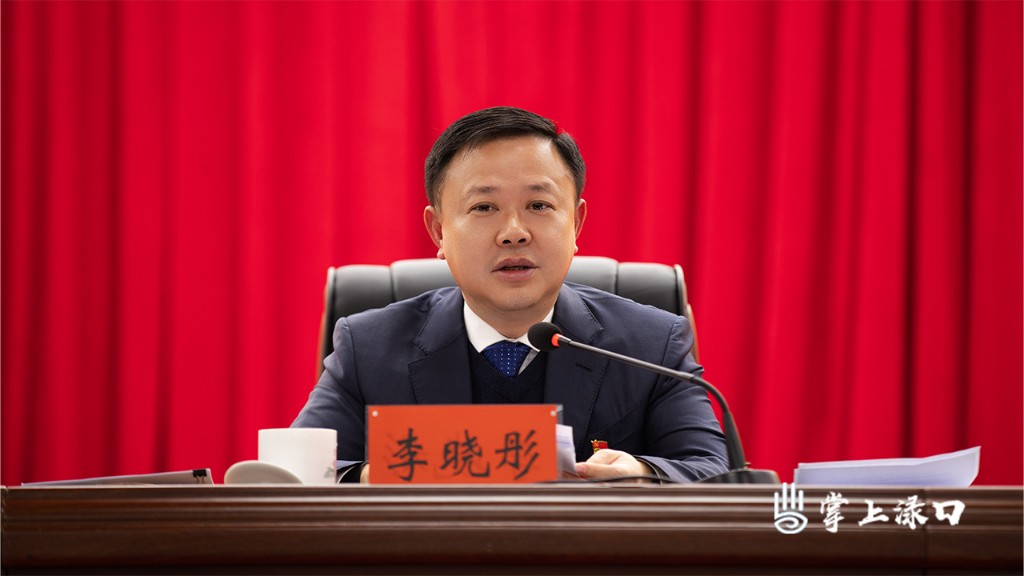 中国共产党株洲市渌口区第二届委员会第九次全体会议举行(图2)