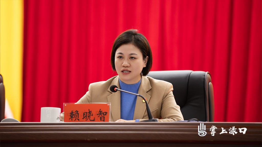 中国共产党株洲市渌口区第二届委员会第九次全体会议举行(图3)