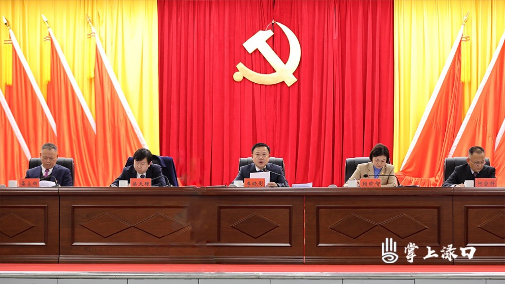 中国共产党株洲市渌口区第二届委员会第九次全体会议举行(图4)